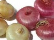 Cipolline agrodolce