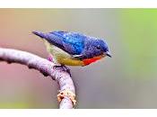 Offrire cibo agli uccelli, consiglio settimana migliorare propria vita quella altrui