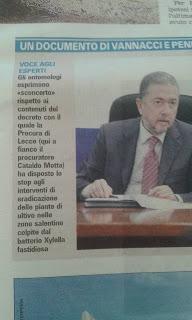 Xylella 24 dicembre 2015