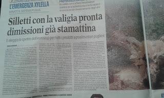 Xylella 24 dicembre 2015