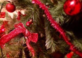 PAVIA. Il senso del Natale nei “pensierini” degli amministratori pavesi.