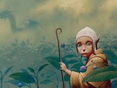 The Winter Wonderland Book Tag