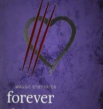 The Winter Wonderland Book Tag