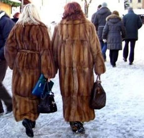 Cortina vieta i botti di Capodanno a tutela degli animali ... vieterà anche le pellicce?!