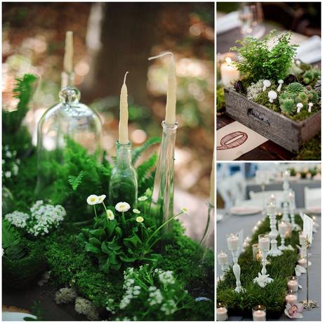 Wedding moss: muschio per le decorazioni