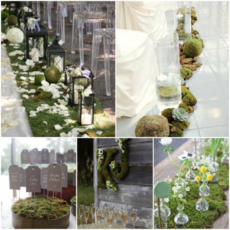 Wedding moss: muschio per le decorazioni Wedding moss: muschio per le decorazioni