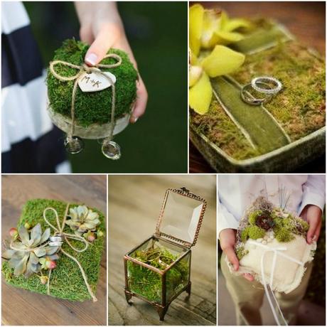 Wedding moss: muschio per le decorazioni