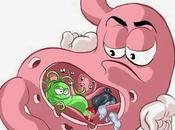 Stomaco, essenziali curare molteplici disturbi