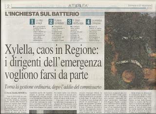 Xylella 27 dicembre 2015