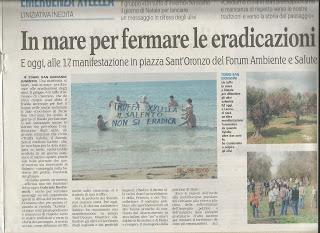 Xylella 27 dicembre 2015