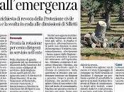 Xylella dicembre 2015