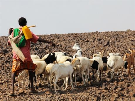 el-nino in africa