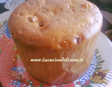 Panettone Giorilli