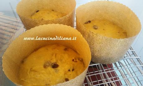 Panettone Giorilli