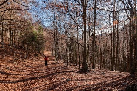 MONTE SCIARA