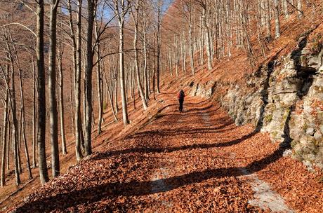 MONTE SCIARA