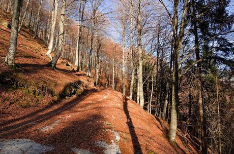 MONTE SCIARA