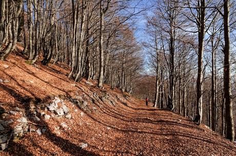 MONTE SCIARA