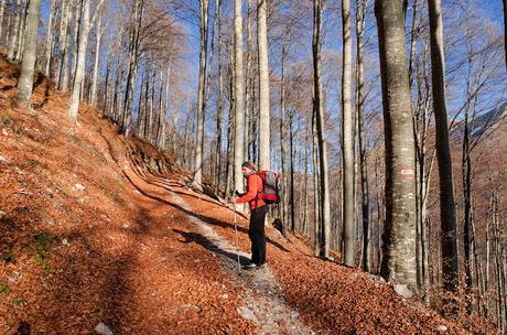 MONTE SCIARA