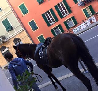 I più venduti in farmacia in 2 giorni di turno...