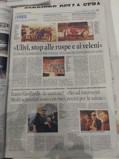 Xylella 28 dicembre 2015