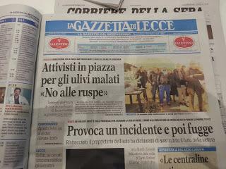 Xylella 28 dicembre 2015