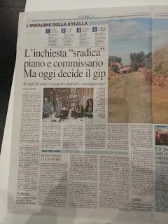 Xylella 28 dicembre 2015