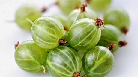 L'Uva spina e i suoi segreti