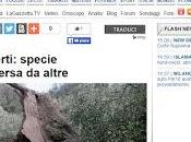 Xylella: Consulenza Surico