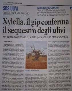 Xylella 29 dicembre 2015