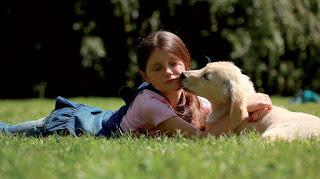 Per tutti i cuccioli solo il meglio...