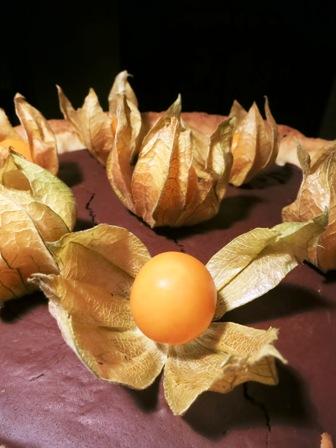 TORTA AL CIOCCOLATO E ALCHECHENGI