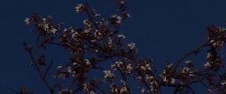 Resoconti ViS 2015: parte #2 | I migliori lungometraggi (visti per la prima volta durante l'anno)