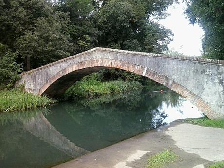 Un sereno 2016 a tutti