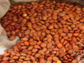 Perché mangiamo lenticchie Capodanno?