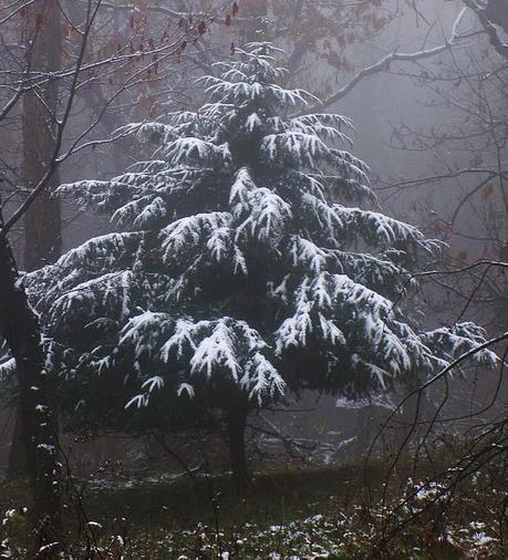 Da Stazzano a Monte Spineto e ritorno (AL)