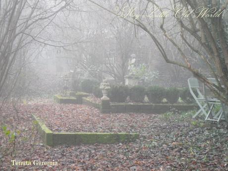 Secret tales from a misty garden.