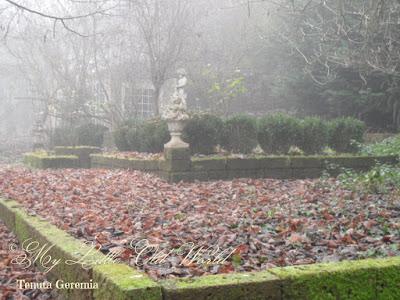 Secret tales from a misty garden.