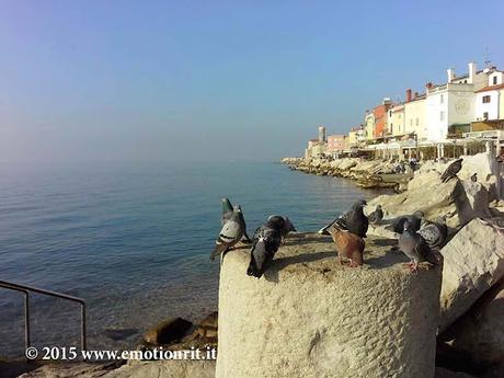 Lungomare di Pirano