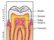 Cinico Natale Odontotombola