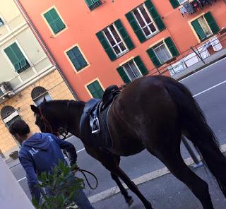 I prodotti più venduti nel turno natalizio in farmacia. E le risate in farmacia.