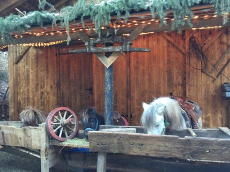 Mercatini di Natale in Trentino Alto Adige.