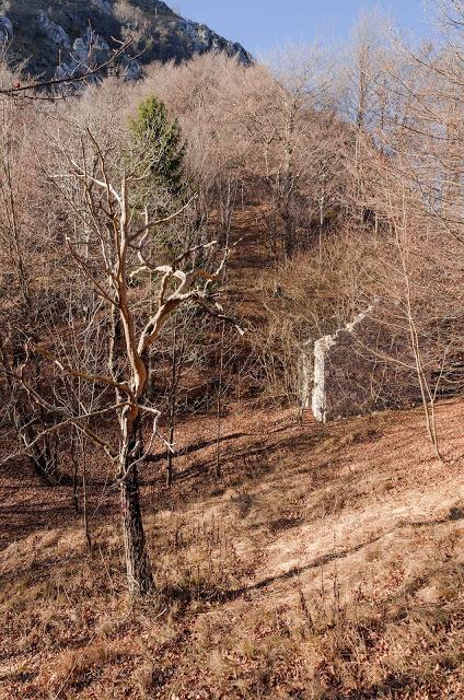 MONTE CRETO' e i presepi di Poffabro