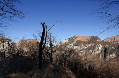 MONTE CRETO' e i presepi di Poffabro