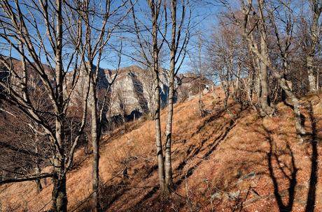 MONTE CRETO' e i presepi di Poffabro