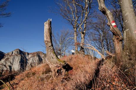 MONTE CRETO' e i presepi di Poffabro