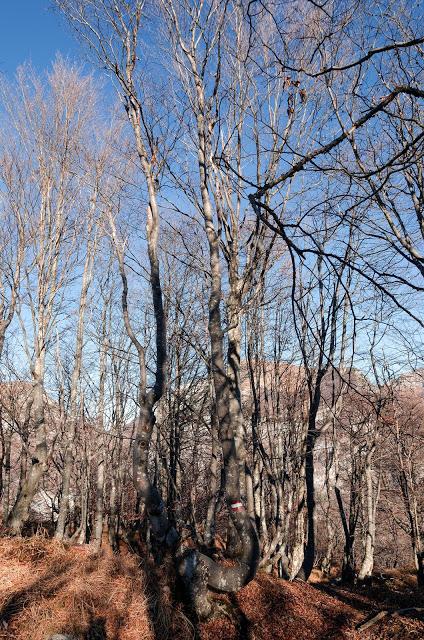 MONTE CRETO' e i presepi di Poffabro