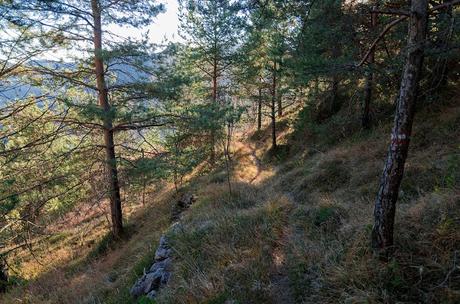 MONTE CRETO' e i presepi di Poffabro