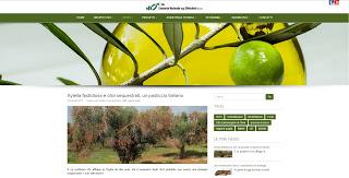 Notizie Agricole Salento 5 gennaio 2016