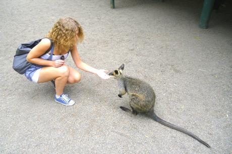 Featherdale Wildlife Park